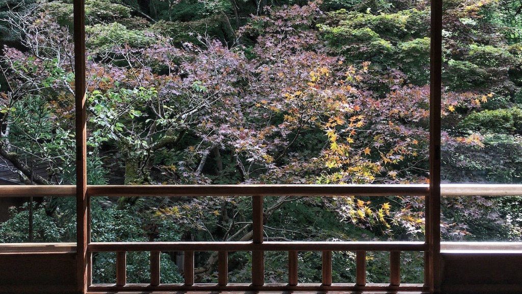 Japonya Anne Oğluyla Sansürsüz Seyahat Ediyor